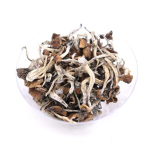 Buy Mazatapec Magic Mushroom Online Europe