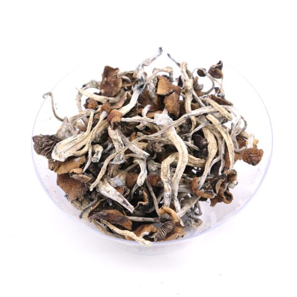 Buy Mazatapec Magic Mushroom Online Europe